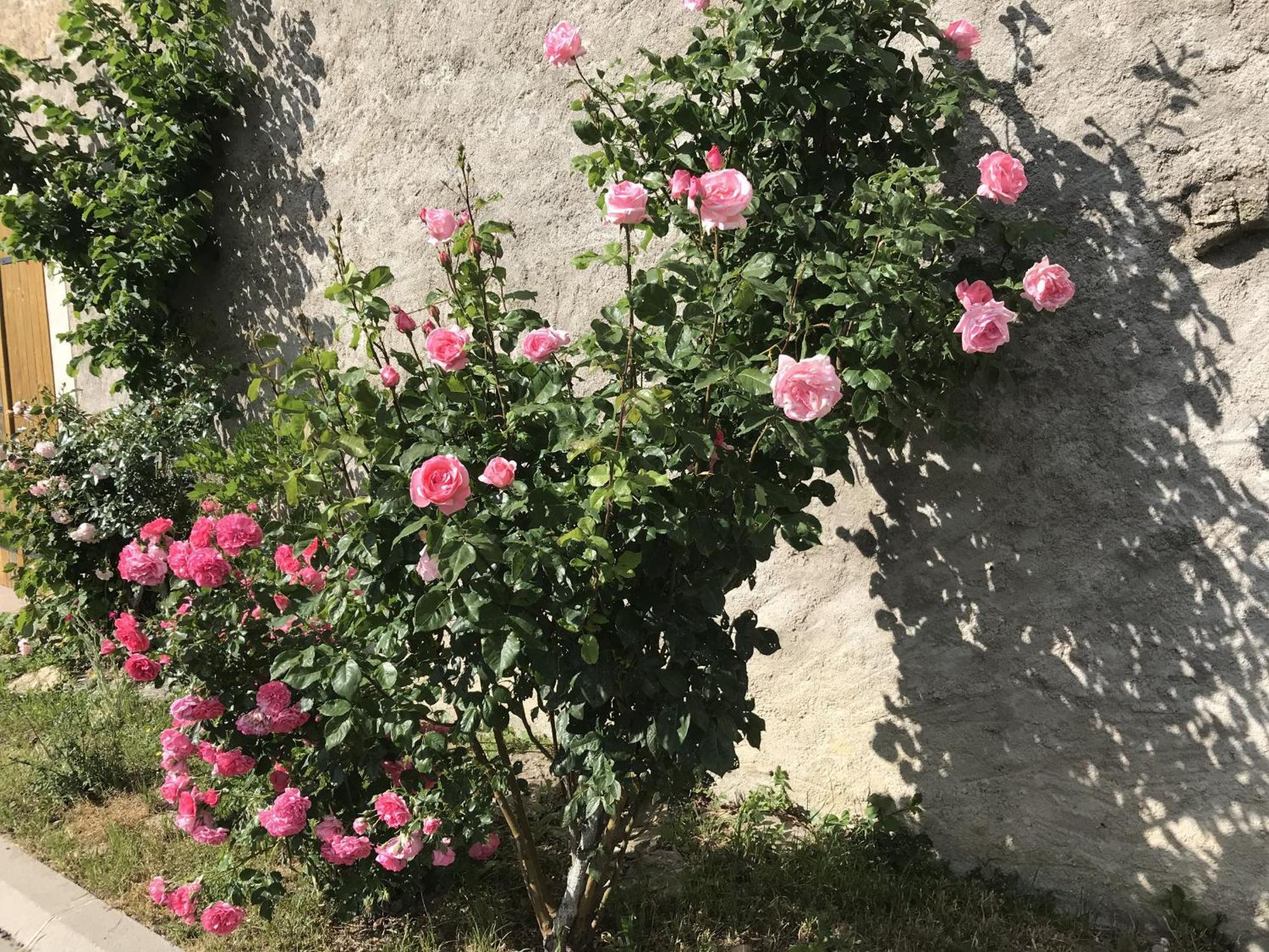 Gite Renove Avec Jardin, Proche Loisirs Et Commerces, A Une Heure De Nancy Et Metz - Fr-1-584-168 Autrepierre Экстерьер фото
